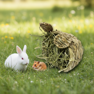 Forma <span class=keywords><strong>de</strong></span> Cabeza <span class=keywords><strong>de</strong></span> Conejo para Heno - Product Image 5