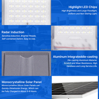 Lampadaire Solaire en Aluminium 200W, Éclairage Extérieur Étanche IP65, Lampes Solaires LED Séparées OEM ODM pour Route