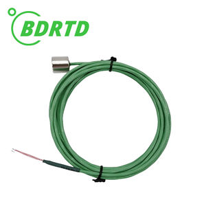 उच्च परिशुद्धता rtd pt100/pt1000 चुंबकीय तापमान सेंसर फैक्टरी प्रत्यक्ष - Product Image 5