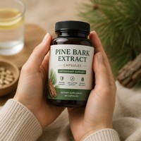 Extrait de Corteil de Pin Premium en Poudre 95% OPC Proanthocyanidines Qualité Alimentaire pour le Soutien Antioxydant et la Beauté de la Peau