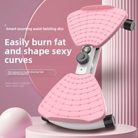 Disque d'exercice abdominal intelligent en plastique avec affichage numérique, silencieux, pour la maison, avec comptage automatique et cordes de résistance pour brûler les graisses