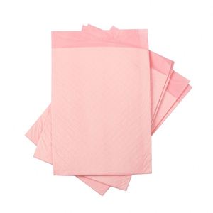 Tapis absorbant jetable pour l'hygiène intérieure des chiots et des chiens, idéal pour l'apprentissage de la propreté - Product Image 1