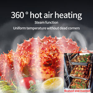 Horno de vapor Universal comercial de diez capas de alta <span class=keywords><strong>productividad</strong></span> para pollo a la parrilla, pato, asado, lechón, restaurantes, hoteles - Product Image 3