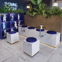 Table Basse Murale Moderne en Acier Inoxydable, Petite et Élégante, pour Salons de Thé, Cafés et Lieux Tendance, avec Porte-Cartes