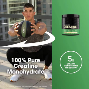 Creatine Monohydrate bột Whey và Whey sản phẩm Pre Workout bột đường miễn phí tăng cân Creatine Monohydrate bột - Product Image 6