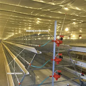 Offre Spéciale automatique un type oeuf pose cage prix reproductrices batterie couche poulet cage pour utilisé dans le matériel d'élevage de volaille
