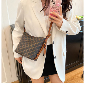 Conjunto de dos piezas con estampado elegante con bolso de cubo versátil Bolso bandolera de hombro de lujo Vintage para mujer - Product Image 2