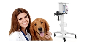 Máquina de Anestesia Veterinaria Portátil Mindray Veta 5 Veta 3 con Monitor e Isoflurano para Animales, Gatos y Perros - Product Image 5