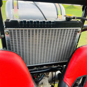 2024 mới nhất 4x4 <span class=keywords><strong>Buggy</strong></span> off road 4x4 để bán với che mưa, gương và Đèn quay - Product Image 5