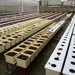 ระบบ Aquaponics อุปกรณ์การเกษตรถัง<span class=keywords><strong>ดั</strong></span>ตช์ผักและปลา - Product Image 6