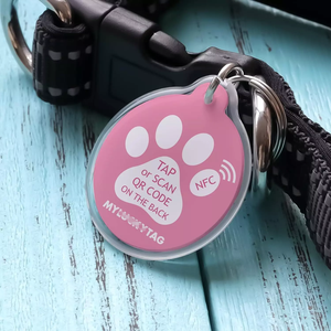 Etiquetas Personalizadas de Llavero para Mascotas con Epoxi, RFID NTAG215 13.56MHz, Etiqueta de Identificación Inteligente Impermeable para Gatos - Product Image 2