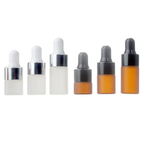 Flacon d'huile essentielle en verre, petit flacon compte-gouttes avec couvercle à vis en argent, 1ml 2ml 3ml 5ml, 10 pièces
