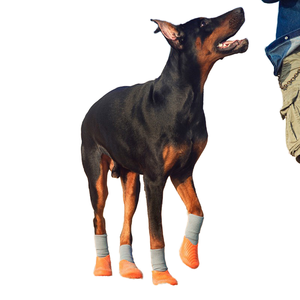Scarpe e stivali sportivi da esterno per animali domestici, antiscivolo e Non rimovibili, calze <span class=keywords><strong>con</strong></span> suola morbida elastica a righe ad alta elasticità a righe bioniche - Product Image 3