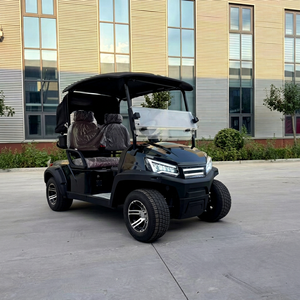 Carrito de Golf Eléctrico de Lujo de 2 Plazas, Homologado para Circular por la Calle, con Batería de 48v 72v, Se Acepta Personalización - Product Image 1