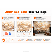Premium berken multiplex wandpanelen 9mm BS1088 waterdichte multiplex plaat voorgelamineerde houten bekleding