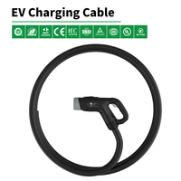 Câble de charge EV CHAdeMO 80/125/150/200/250A, connecteur Type 2 vers Type 2, rallonge Type 2 vers GB/T, câble de charge EV