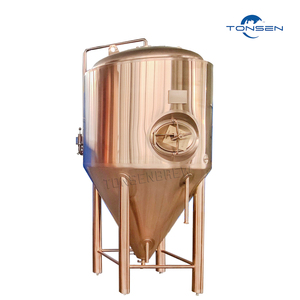 Thiết bị bia cổ điển vật liệu đồng Đỏ <span class=keywords><strong>microbrewery</strong></span> bể lên men 1000L - Product Image 6