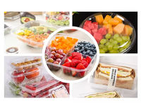 Geavanceerde pulp-molding thermoformmachine met geïntegreerde droging voor de productie van eiertrays en fruitpunnetten