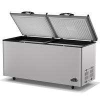 Congélateur coffre commercial 800L avec porte en mousse, congélateur profond économe en énergie pour supermarchés, vente au détail et vente en gros BD-800Q