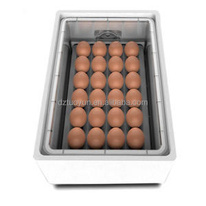 TUOYUN 24 piezas buen <span class=keywords><strong>precio</strong></span> incubadoras automáticas baratas huevos para incubar 24 huevos - Product Image 6