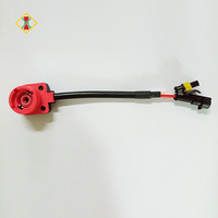 Adaptateur de douille de lampe Chuanyi D2S/D2C/D2R/D4S, câble de conversion, câblage, modification du ballast HID, accessoires de douille de lampe au xénon