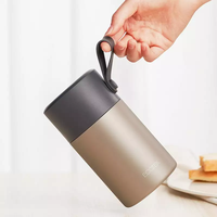 Vente en gros de gobelets sous vide à double paroi de 550ml en vrac Boîte à lunch Récipient à soupe avec cuillère d'une capacité de 450ml Pot alimentaire