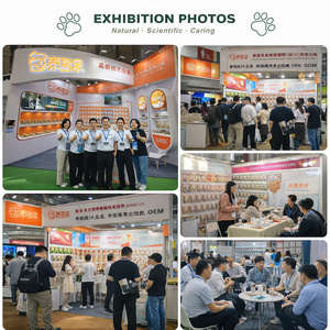 Premium Pet Biscuits Balanced Nutrition Healthy Snack for All <strong>Breeds</strong> - Product Image 4