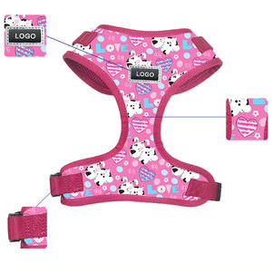 Famicheer Vente en gros Petit harnais Ensemble chien Produit pour animaux de compagnie de haute qualité Harnais et laisse pour chien - Product Image 5