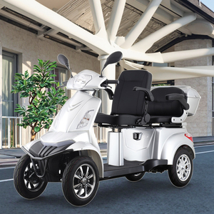 Trottinette Électrique à Quatre Roues de Haute Qualité 2026 avec Panier - Modèle Shopping/Vista Quater-L1 - Product Image 4