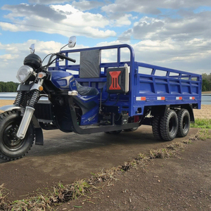 Promotion : Tricycle de fret ouvert 300CC 350CC à refroidissement par eau, 9 roues, double essieu arrière, benne hydraulique, moto tout-terrain robuste - Product Image 5