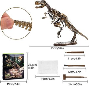 Kit de Excavación de Esqueleto de Dinosaurio 3D, Kit de Ciencia de Excavación de Fósiles de Dinosaurio, Kit de Excavación de Fósiles de Dinosaurio para Niños - Product Image 6