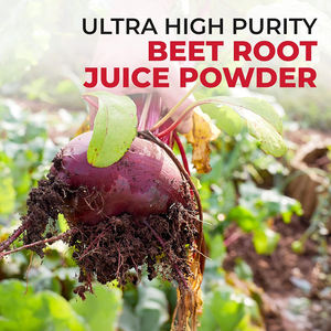 Suplemen Permen Kunyit Organik Vegan Penambah Energi Antioksidan Harga Pabrik OEM Terbaik Laris Manis Logo Kustom Dukungan Kesehatan Olahraga - Product Image 6