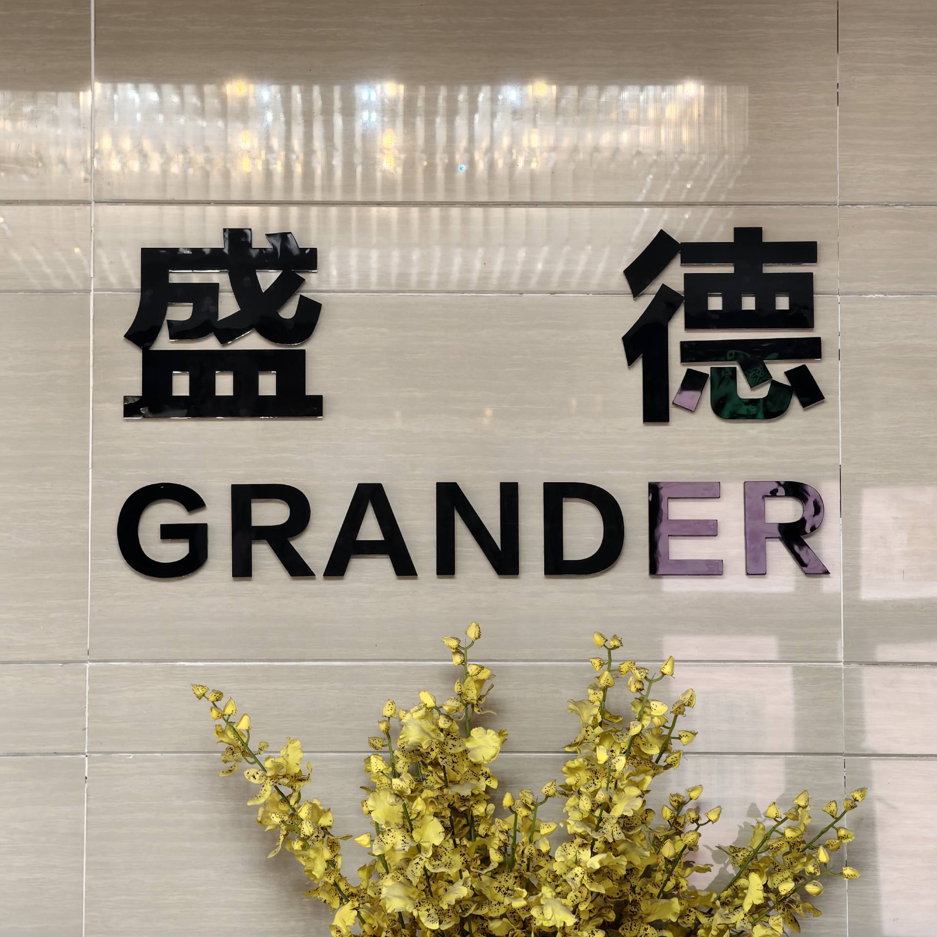 Guangdong Shengde Intelligent Technology Co., Ltd. logo