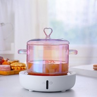 Marmite en verre rose classique à double anse, résistante à la chaleur et aux flammes directes, en verre épaissi, compatible gaz, pour usage domestique