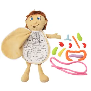 New children's body structure puzzle doll baby organs Preschool plush Toys