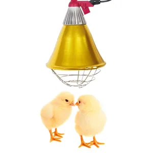 infrared lamp r125 & r40 infrared light bulb lampshade for chicken farms heating