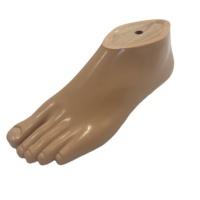 Orthèses Artificielle Membre Sach Pied Jambe Prothèse Prothétique Appareils de Physiothérapie pour Équipement de Réhabilitation de la Marche