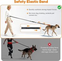 Laisse pour chien personnalisée mains libres, solide, souple et tendance, avec double poignée et support lombaire pour grands chiens, pour la marche et le jogging