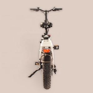 RaiderExpand-45F 50 km/h vitesse vélo pliant vélo électrique 20 pouces gros pneu <span class=keywords><strong>750w</strong></span> 1000W Ebike électrique gros pneu Bik - Product Image 5