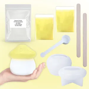 Timesrui 3D gesso polveri Starter Kit di colata in polvere ad alta cura Kit di colata in polvere in gesso attivato ad acqua per la miscelazione facile da fare