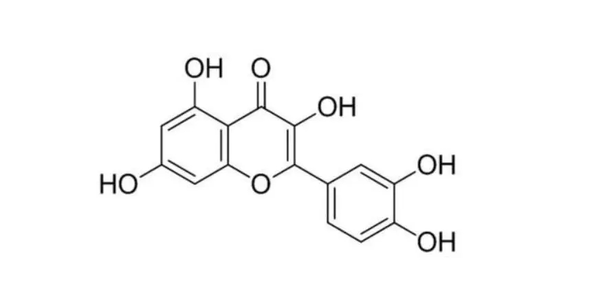 عصاره فله سوفورا ژاپنیکا 95% 98% دی هیدرات کوئرستین CAS 6151-25-3 6