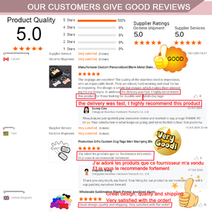 Nhà Sản Xuất Tùy Chỉnh Long Lanh Dog Paw In Tên Nơi Nhận Dạng Vật Nuôi Vật Nuôi Phụ Kiện Làm Kim Loại Quyến Rũ Dog Tag - Product Image 6