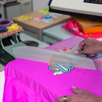 Rouleau de film DTF 30cm 60cm, film PET à décoller à chaud pour l'impression numérique sur vêtements, transfert pour imprimante jet d'encre 13 pouces