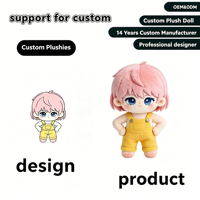 Peluche personnalisée Kawaii, poupée en peluche sur mesure, personnage de dessin animé, souvenir pour fans, cadeau de vacances pour adolescentes