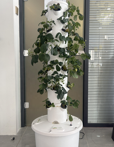 Système de culture hydroponique intelligent pour plantes d'intérieur, petite <span class=keywords><strong>serre</strong></span> domestique, jardin d'herbes aromatiques, éclairage de croissance, systèmes de culture hydroponique - Product Image 3