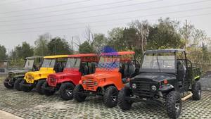 Mini Jeep 2025 à vendre : Buggy tout-terrain 4x4 à essence 250cc, 351-450 ch, avec batterie au plomb et garantie de 2 ans - Product Image 3