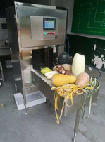 Meloen Fruit Groente Pompoen Peeling Machine Grapefruit Peeling Machine Ananas Dunschiller Voor Fruit Verwerking Fabriek
