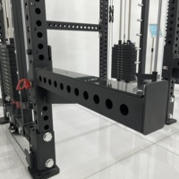 FOUX DLR10 Machine Smith multifonction en acier inoxydable avec rack à câbles croisés et pile de poids de 80 kg pour usage domestique et commercial