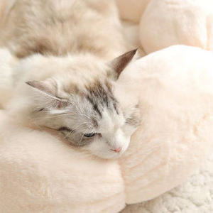 Perros pequeños medianos Donut Flower Fluffy Calming Puppy Cute in Teddy Sherpa Antideslizante para gatos de interior Anti-Ansiedad Cama para perros - Product Image 4