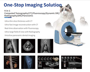 Penjualan langsung oleh produsen peralatan diagnostik dokter hewan peliharaan-CT Vet x-ray Sistem tomografi terkomputerisasi sinar kerucut untuk pemilik hewan peliharaan - Product Image 2